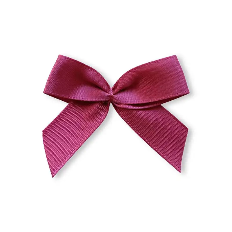 Schleife mittel Brombeere